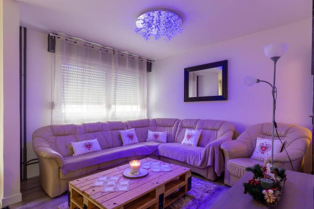 Illzach Superbe Appartement Spacieux Avec Parking Gratuit מראה חיצוני תמונה